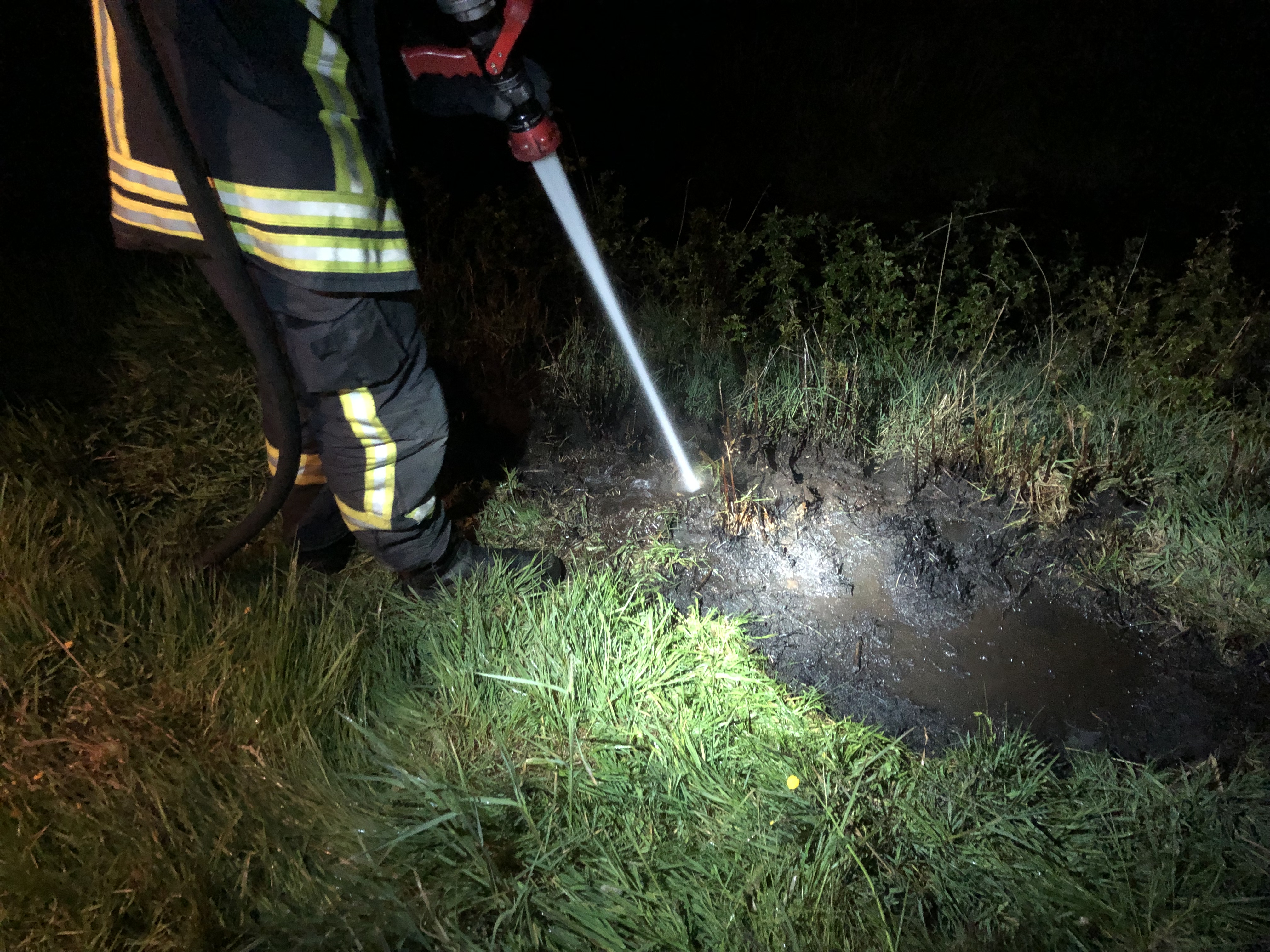 Brandeinsatz > Flächenbrand Brandeinsatz > Flächenbrand