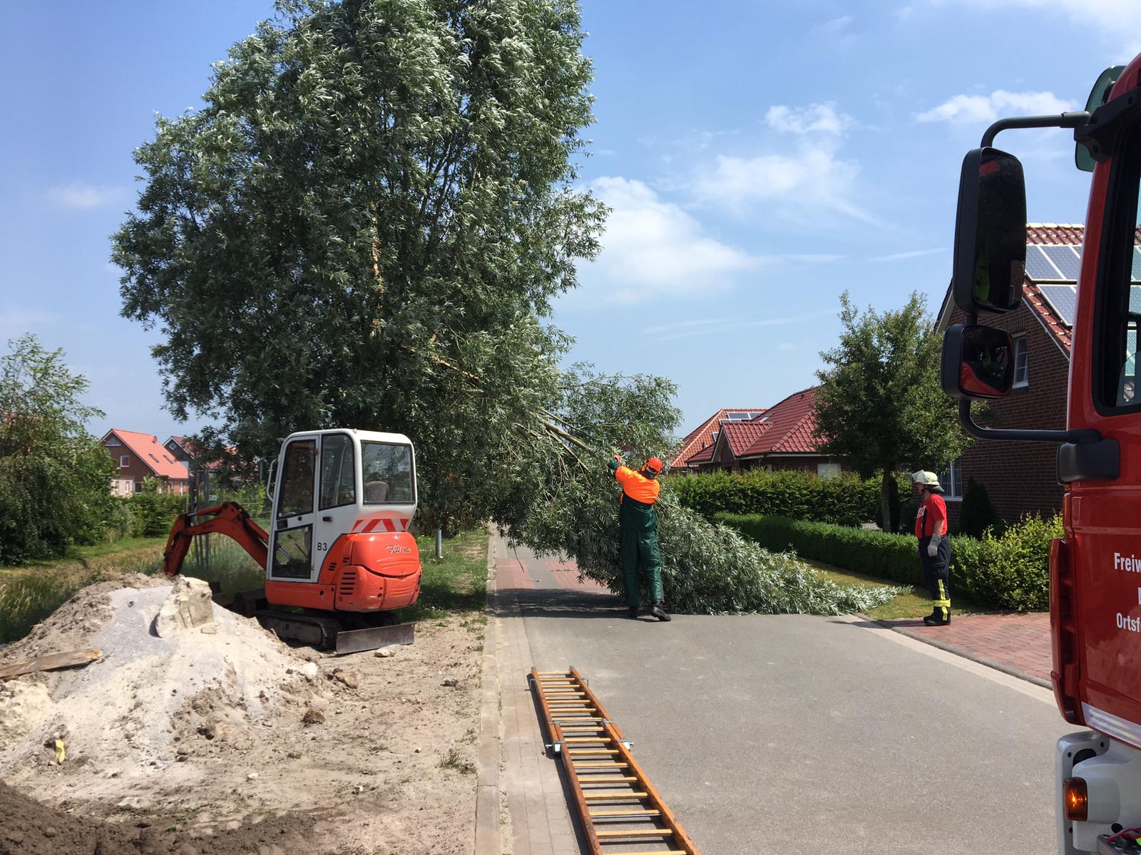 Techn. Hilfe > Sturmschaden Techn. Hilfe > Sturmschaden