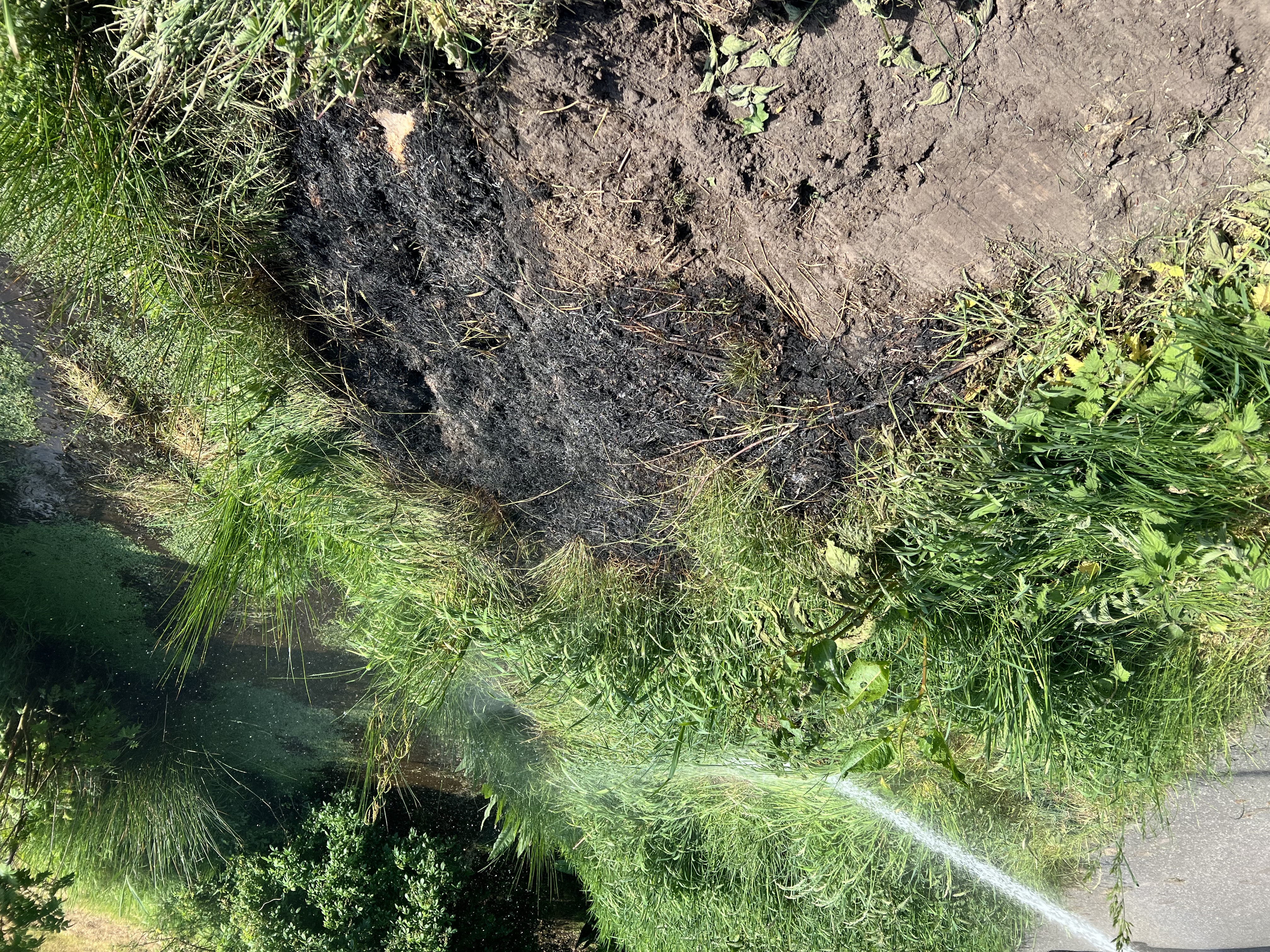 Brandeinsatz > Flächenbrand Brandeinsatz > Flächenbrand