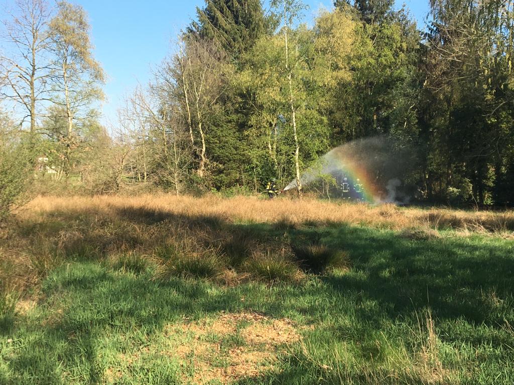 Brandeinsatz > Heckenbrand Brandeinsatz > Heckenbrand