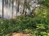 Brandeinsatz > Flächenbrand
