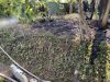 Brandeinsatz > Flächenbrand