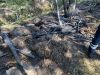 Brandeinsatz > Flächenbrand